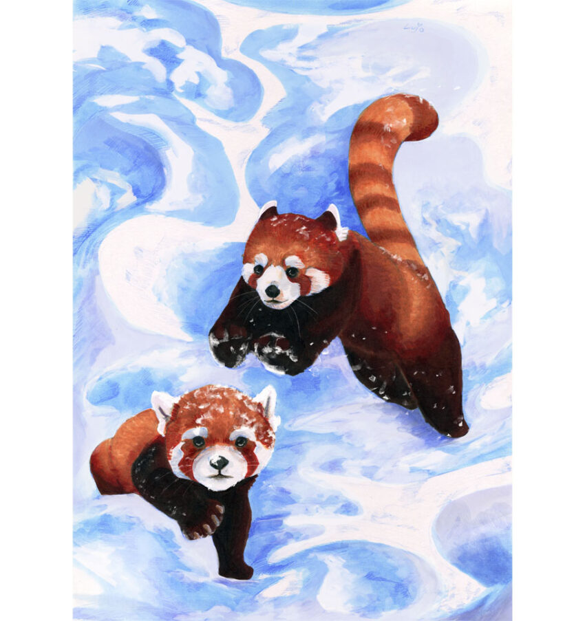 Winter fun - Image 2