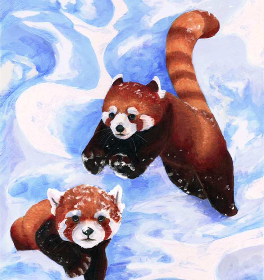 Winter fun