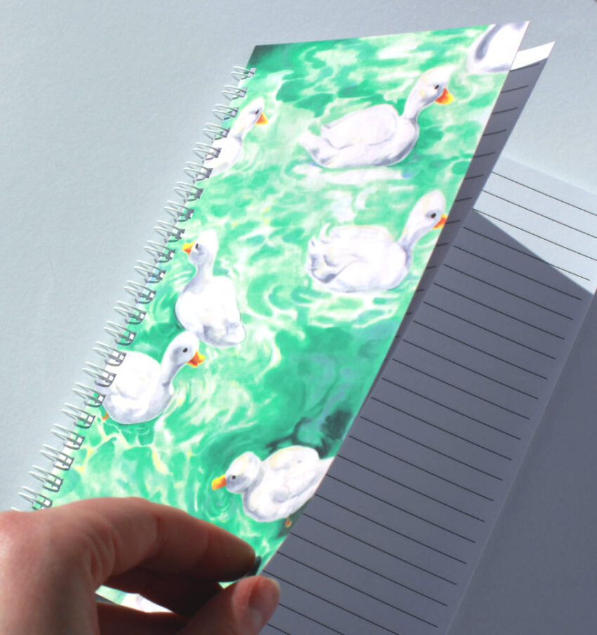 Opening the Duck note book from Lustanjo