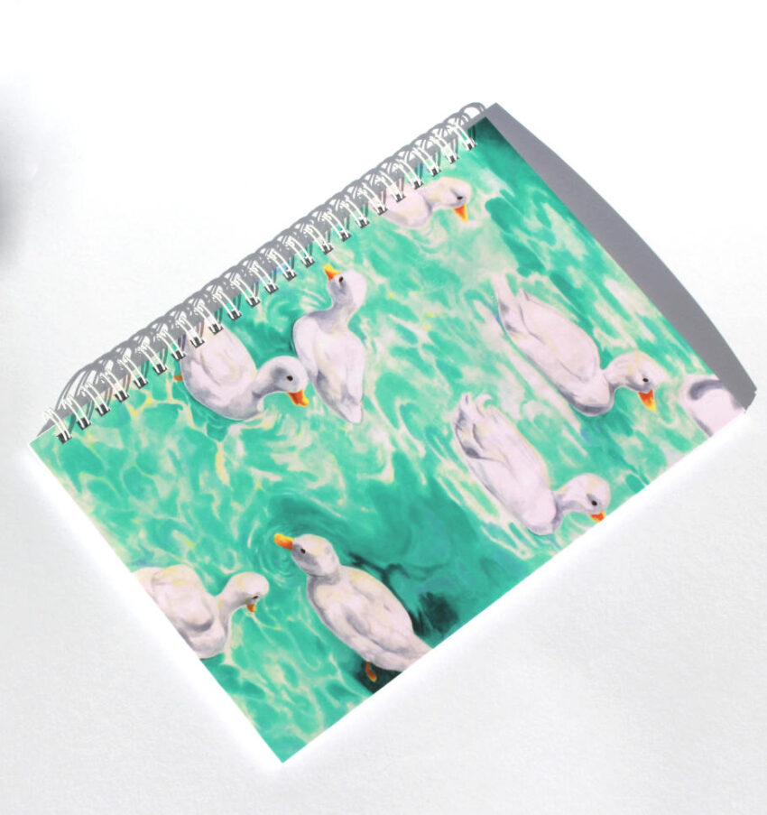 The Duck note book from Lustanjo