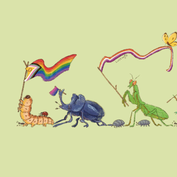 Bug Pride parade